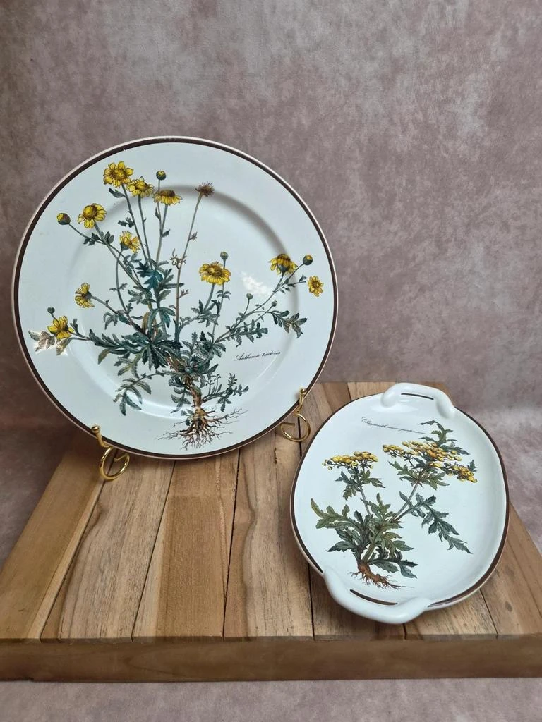 Lot 2 plats Villeroy & Boch Botanica – vitro-porcelaine – Luxembourg